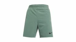 Nike Men's Flex 2.0 Shorts