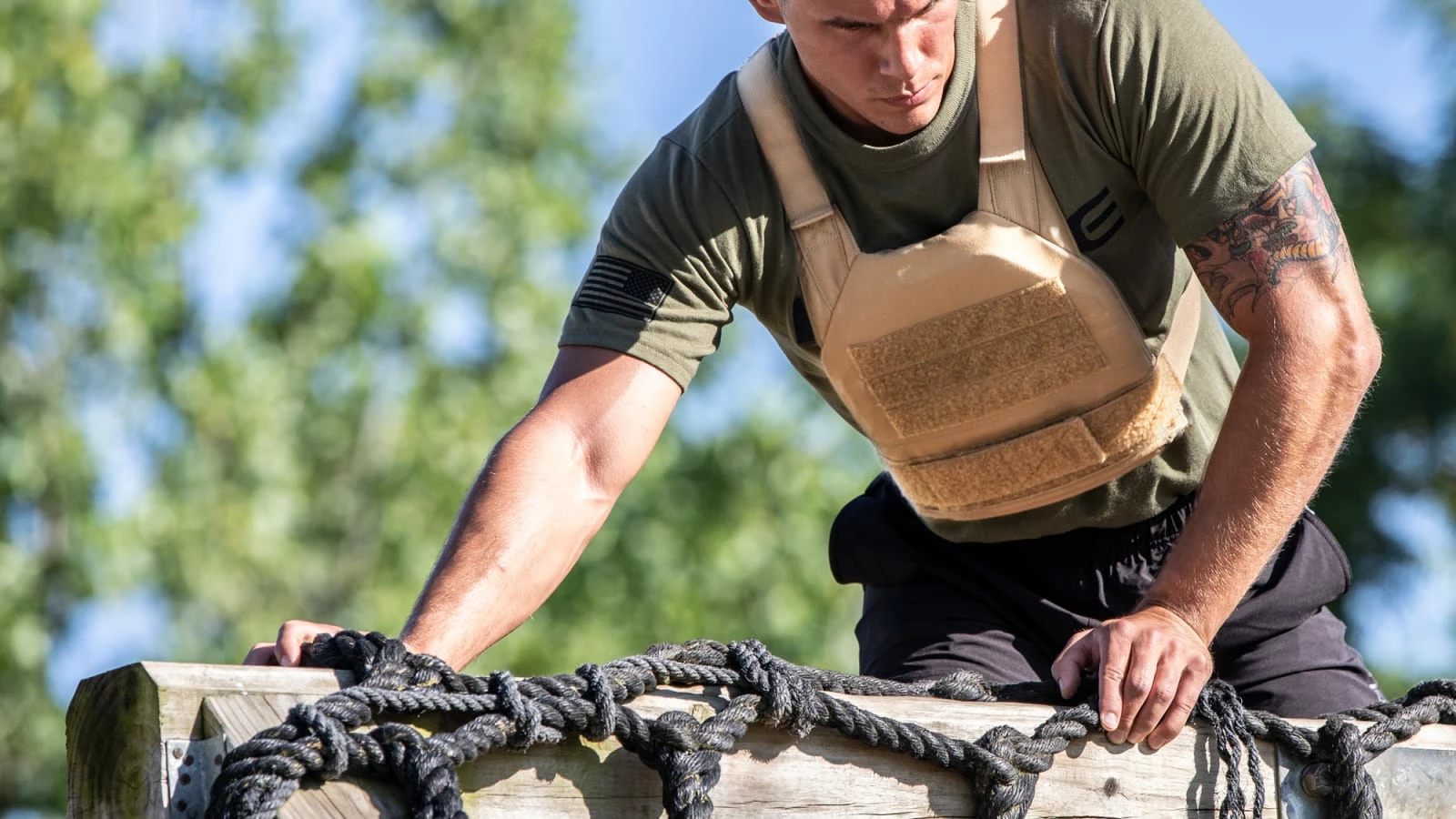 Rogue Fitness Rogue Plate Carrier
