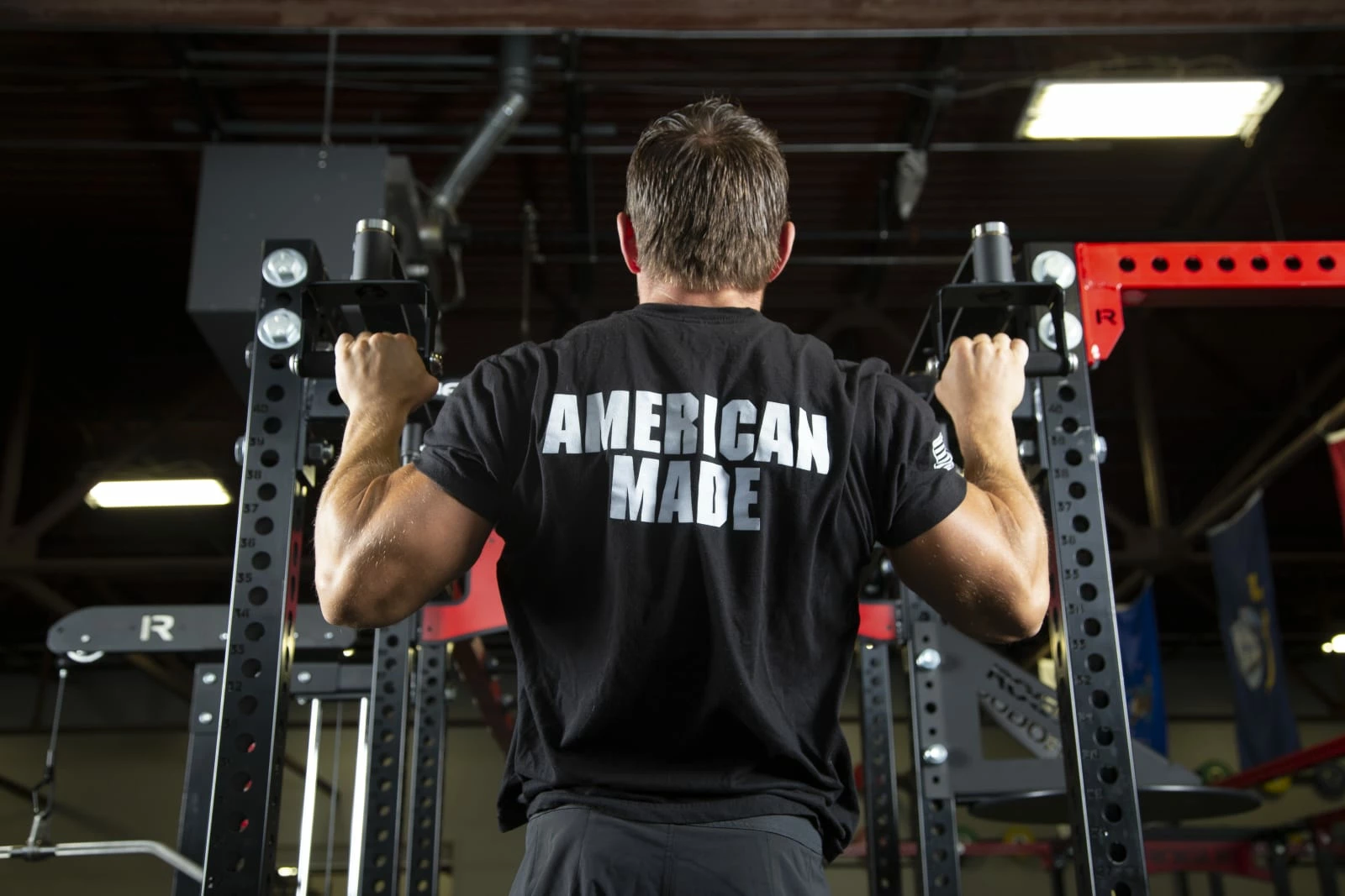 Rogue Fitness XM-43R Neutral Grip Rotating Pull-up Bar - Image 3