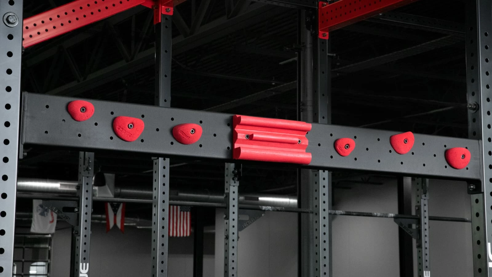 Rogue Fitness Rogue Monster Lite Climbing Hold Crossmembers - Image 4