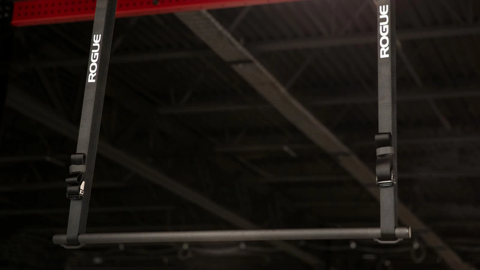 Rogue Fitness Rogue Individual Pull-up System